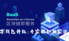 农行数字钱包升级：专家