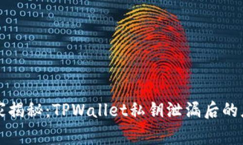 专家独家揭秘：TPWallet私钥泄漏后的应对秘诀