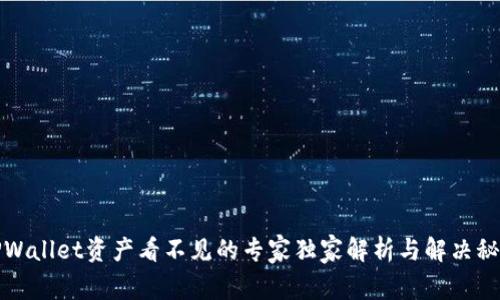 TPWallet资产看不见的专家独家解析与解决秘诀