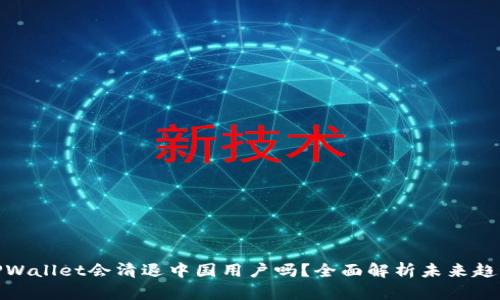 TPWallet会清退中国用户吗？全面解析未来趋势