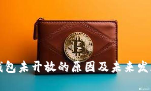 邮政数字钱包未开放的原因及未来发展趋势分析