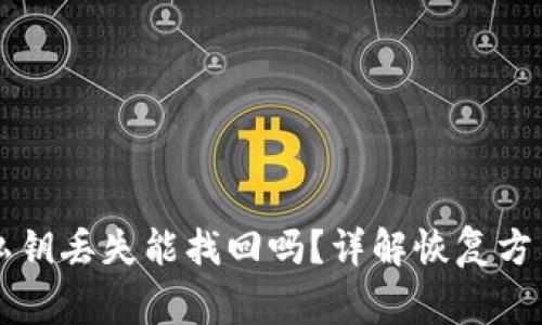 区块链钱包私钥丢失能找回吗？详解恢复方法及注意事项