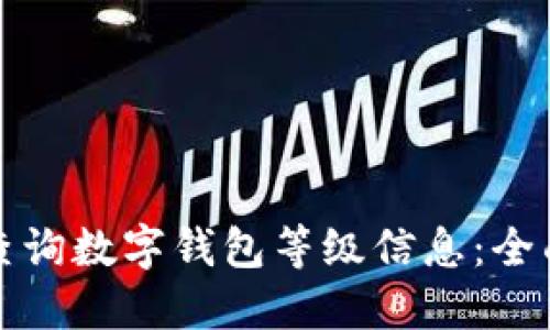如何查询数字钱包等级信息：全面指南