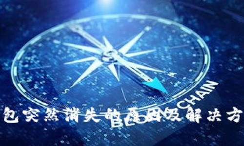 数字钱包突然消失的原因及解决方案详解