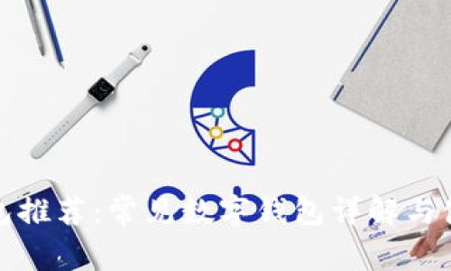 数字钱包推荐：常见数字钱包详解与使用指南