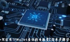 如何使用TPWallet查询持币数