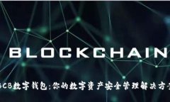 BCB数字钱包：你的数字资产安全管理解决方案