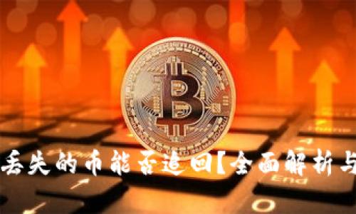 TPWallet丢失的币能否追回？全面解析与应对策略