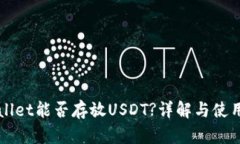 TPWallet能否存放USDT?详解与