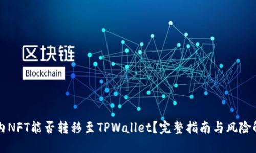 国内NFT能否转移至TPWallet？完整指南与风险解析