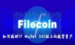 如何找回TP Wallet BSC链上的