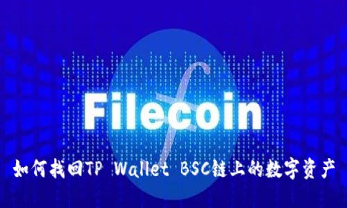 如何找回TP Wallet BSC链上的数字资产