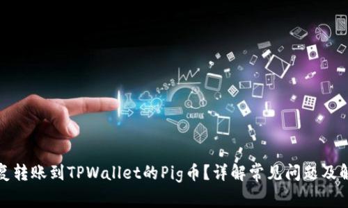 如何恢复转账到TPWallet的Pig币？详解常见问题及解决方案
