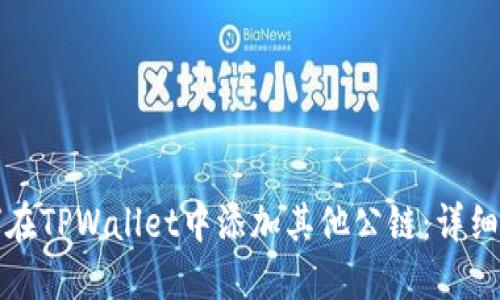 如何在TPWallet中添加其他公链：详细指南