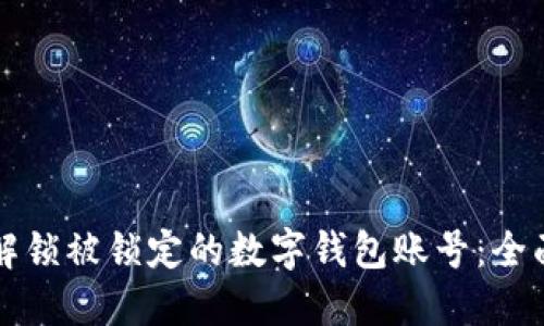 如何解锁被锁定的数字钱包账号：全面指南