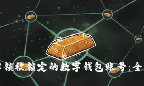 如何解锁被锁定的数字钱包账号：全面指南