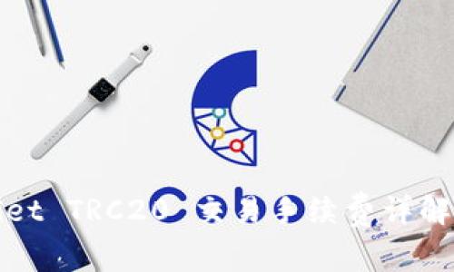 TPWallet TRC20 交易手续费详解与策略