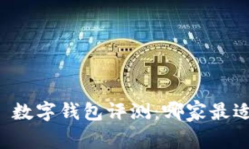 ### 数字钱包评测：哪家最适合你？