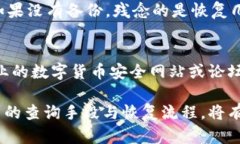    数字钱包丢失案件查询指南：如何有效追踪和