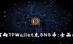 如何向TPWallet充BNB币：全面