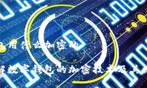 数字钱包用什么加密的

深入了解数字钱包的加密技术及其保护机制