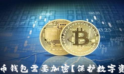 
为什么你的比特币钱包需要加密？保护数字资产安全的必要性