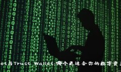 TPWallet与Trust Wallet：哪个更