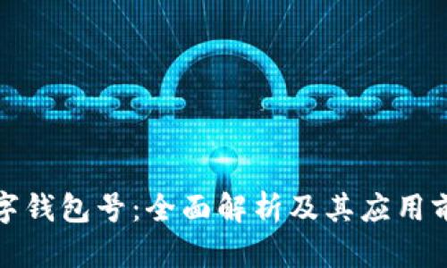 数字钱包号：全面解析及其应用前景