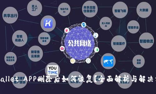 tpwallet APP删除后如何恢复？全面解析与解决方案