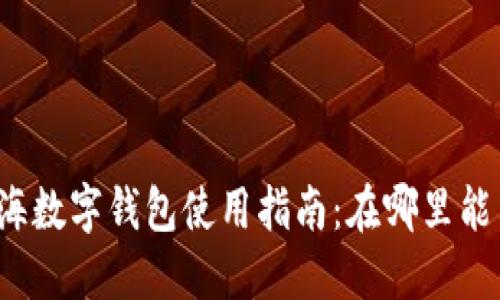 上海数字钱包使用指南：在哪里能用？
