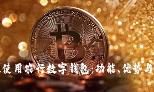 如何有效使用农行数字钱包：功能、优势与注意事项