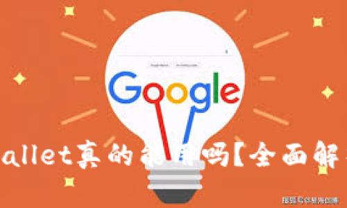 : 中本聪TPWallet真的能用吗？全面解析与用户体验