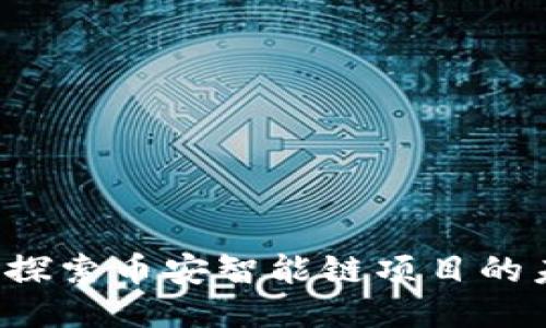 TPWallet：探索币安智能链项目的未来与潜力