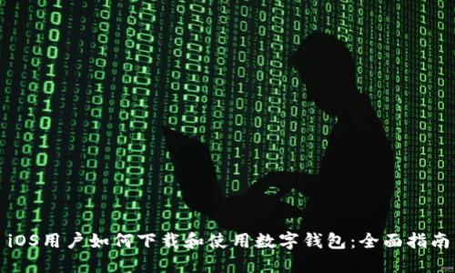 iOS用户如何下载和使用数字钱包：全面指南