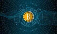 数字钱包地址属于哪个地