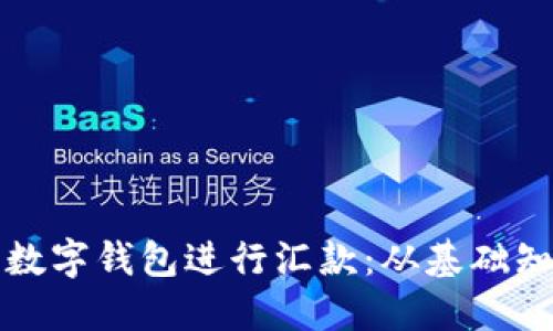 如何使用美元数字钱包进行汇款：从基础知识到实用技巧