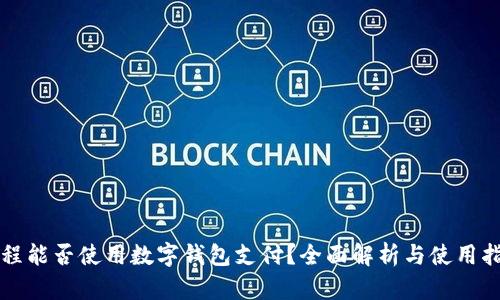 携程能否使用数字钱包支付？全面解析与使用指南