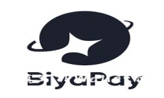 如何查找和填写TPWallet代币