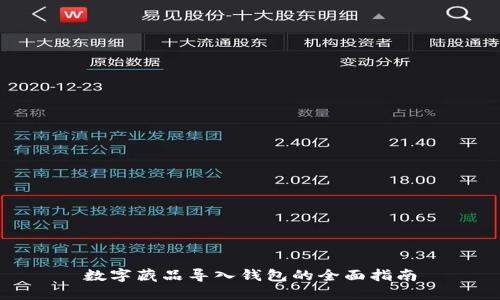 数字藏品导入钱包的全面指南