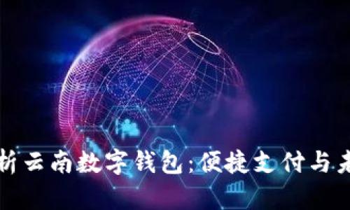 全面解析云南数字钱包：便捷支付与未来发展