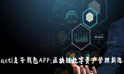 ibaoti麦子钱包APP：区块链数字资产管理新选择