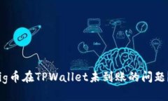 如何解决Pig币在TPWallet未到