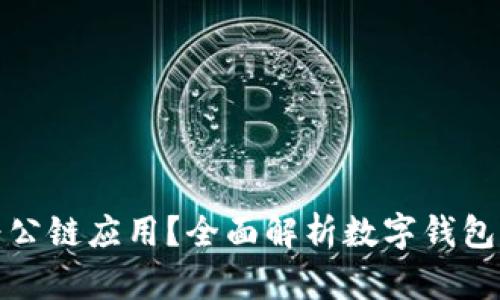 数字钱包如何演变为公链应用？全面解析数字钱包与区块链结合的未来