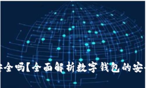 数字钱包加密安全吗？全面解析数字钱包的安全性与防护措施