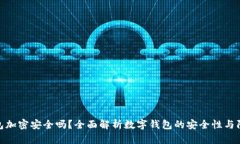 数字钱包加密安全吗？全面解析数字钱包的安全
