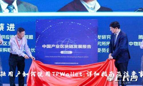 大陆用户如何使用TPWallet：详细指南及注意事项