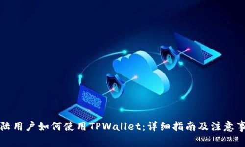 大陆用户如何使用TPWallet：详细指南及注意事项