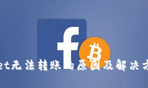 TPWallet无法转账的原因及解决方案详解