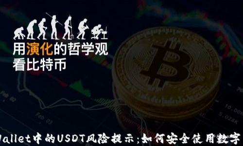 
TPWallet中的USDT风险提示：如何安全使用数字货币