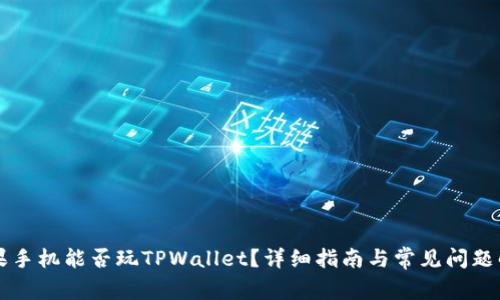 苹果手机能否玩TPWallet？详细指南与常见问题解答